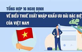 Biểu Thuế Nhập Khẩu Ưu Đãi Của Việt Nam