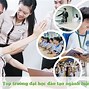 Các Ngành Đào Tạo Của Trường Đại Học Mở Tphcm