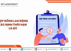 Quy Định Về Ký Hợp Đồng Lao Động Xác Định Thời Hạn Ở Mỹ