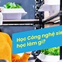 Thạc Sĩ Công Nghệ Sinh Học Bách Khoa